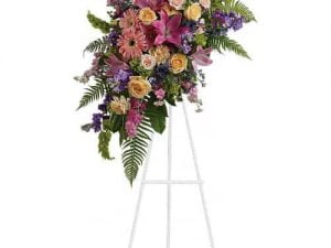 Celebration of Life
