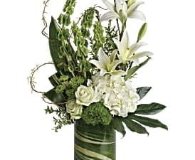 Botanical Beauty