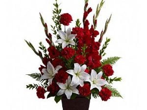 Tender Tribute