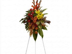 Tropical Tribute
