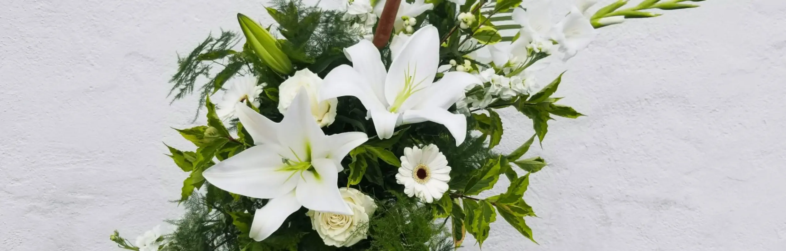 Petals Plus Flower Display 1